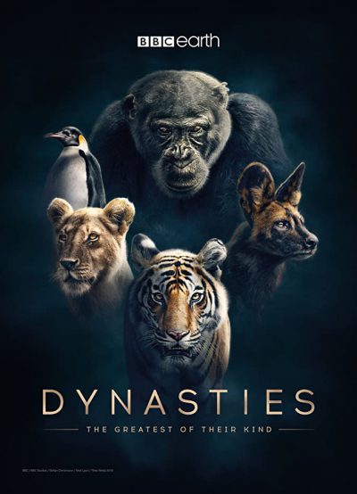 دانلود سریال Dynasties