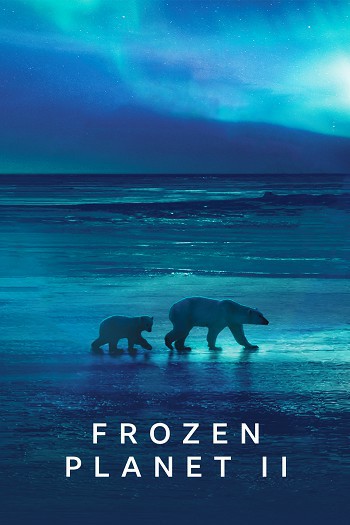 دانلود سریال Frozen Planet II